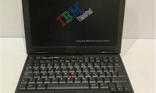 ibm x22_ibm x220